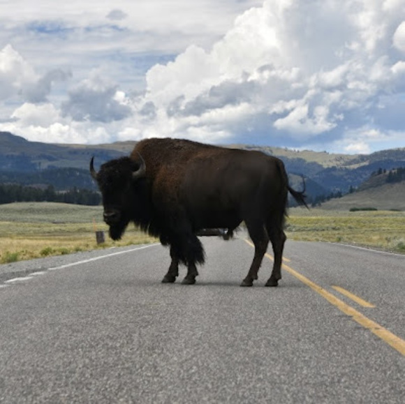 Meet your Posher, Andrew - Picture 1 of 1